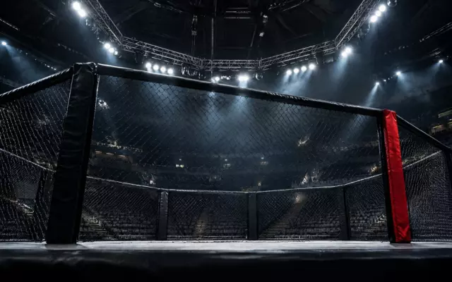 Пётр Ян единогласным решением обыграл Двалишвили и сохранил пояс UFC